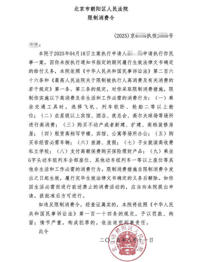 北京市朝阳区人民法院限制消费令截图
