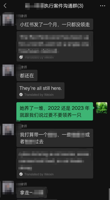 沟通法院拘传细节